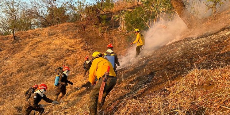 Se reportan 153 hectáreas afectadas por incendios forestales en Jalapa