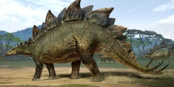 Así lucía el Stegosaurus. / Imagen: 800Noticias.