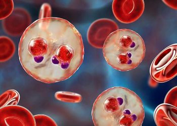 Cartografía muestra evolución del plasmodium. / Foto: El Día de Segovia