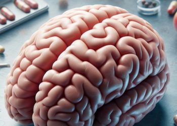 China desarrolló chip similar al cerebro humano. / Imagen: Blu Radio.