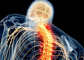 Desarrollan dispositivo para estimular la médula espinal. / Foto: Uniteco Profesional.