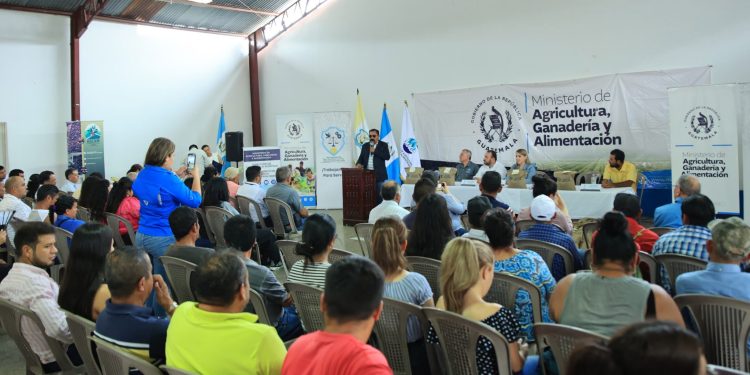 MAGA entrega semillas y brindará apoyo técnico a caficultores de El Progreso