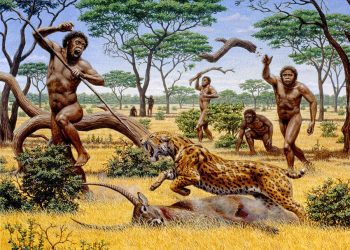 Estudio relaciona capacidad muscular con efectividad en la caza. / Foto: Cronica.com.mx.