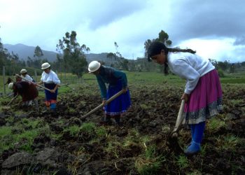 Foro analiza situación de tierras indígenas. / Foto: Caretas.
