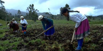 Foro analiza situación de tierras indígenas. / Foto: Caretas.