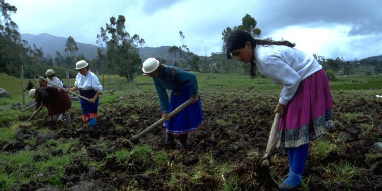 Foro analiza situación de tierras indígenas. / Foto: Caretas.