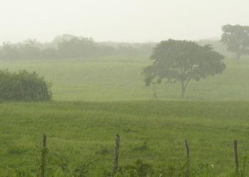MAGA monitorea ocho departamentos ante persistencia de lluvias