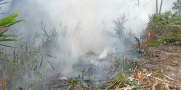 Coordinación interinstitucional para combatir incendios en Guatemala