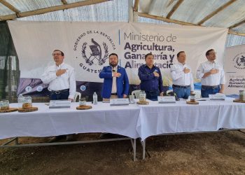 Iniciativa de reforestación en Chimaltenango para la conservación del paisaje