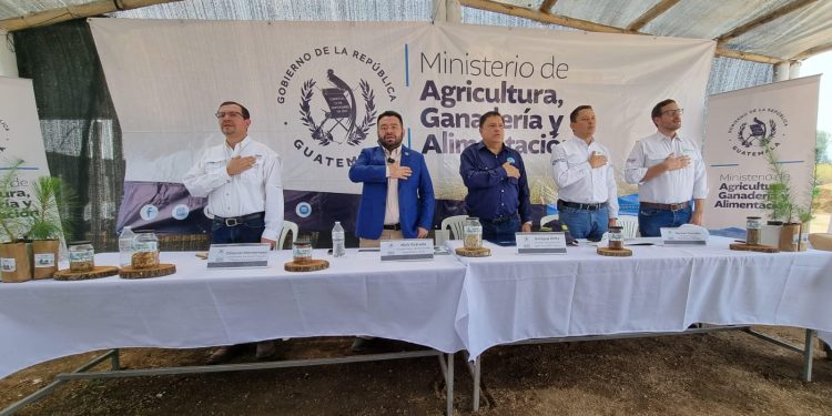 Iniciativa de reforestación en Chimaltenango para la conservación del paisaje