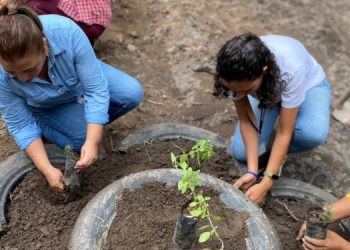 Se benefician con programa Huertos Escolares Pedagógicos en Chimaltenango