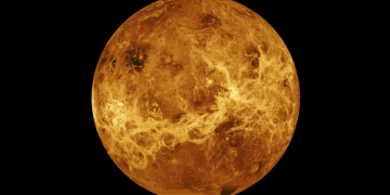 Imagen del planeta Venus. / Foto: NASA.