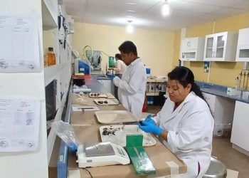 Impulsan tecnología para pesca artesanal en Sololá. / Foto: MAGA.