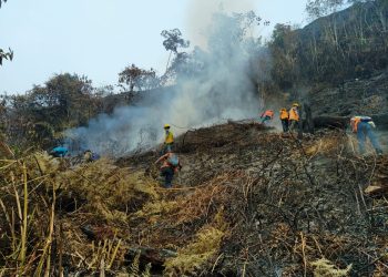 Conred se declara en alerta anaranjada institucional para coordinar ayuda humanitaria a 555 familias, en Panzós, Alta Verapaz. Foto: Conred.