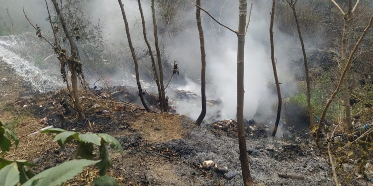Incendios han consumido el equivalente a 24 mil 400 canchas de futbol