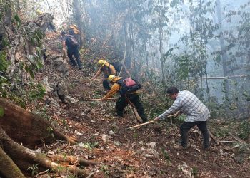 Conred ha sofocado el 96.8 % de incendios de la temporada