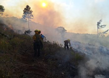 Conred reporta 64 incendios activos en todo el país