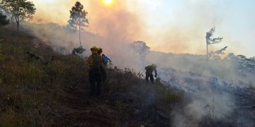 Conred reporta 64 incendios activos en todo el país