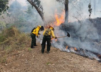 Conred reporta 103 incendios activos este lunes
