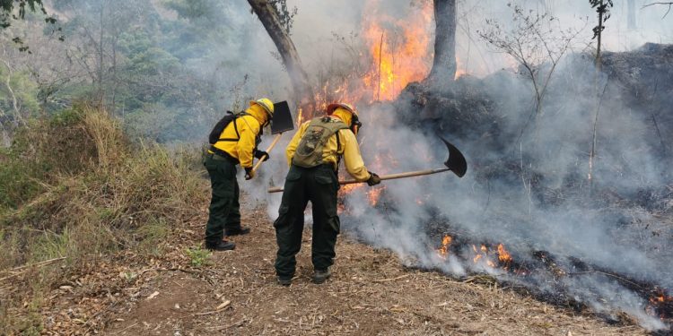 Conred reporta 103 incendios activos este lunes