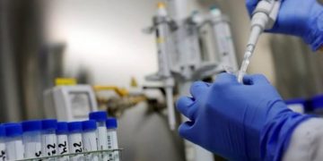 Científicos descubren que los piojos del cuerpo humano jugaron un importante papel en la propagación de la peste.