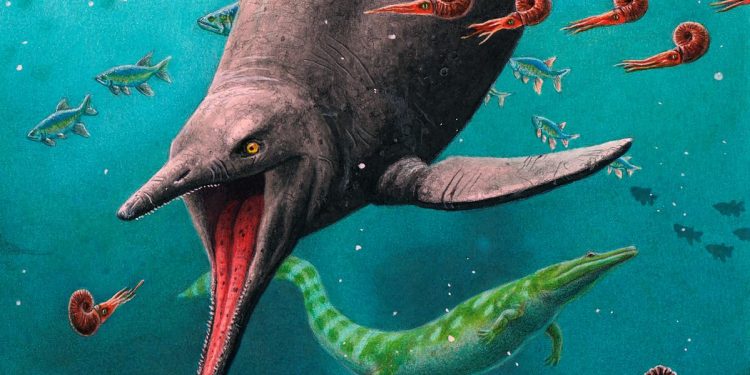 Localizan restos de un gran dinosaurio marino en Rusia. / Foto DW.