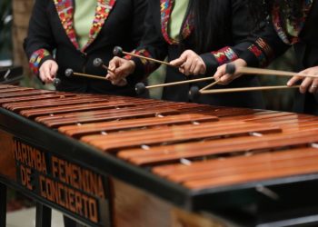 El MCD ofrecerá experiencias culturales inolvidables de forma gratuita