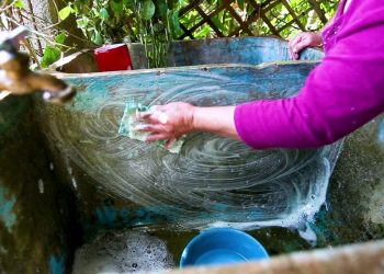 El Ministerio de Salud recomienda lavar las piletas de agua para evitar la proliferación de zancudos transmisores de dengue.