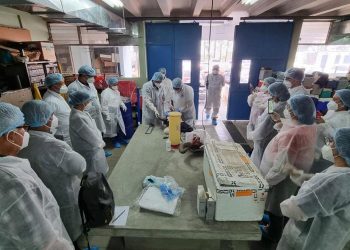 Participantes en taller para detección de rabia bovina. / Foto: MAGA.