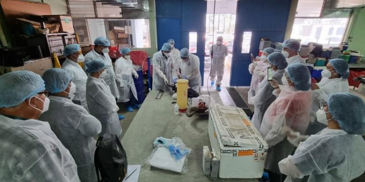 Participantes en taller para detección de rabia bovina. / Foto: MAGA.