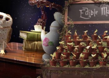 El universo de Harry Potter inspira un nuevo concurso culinario