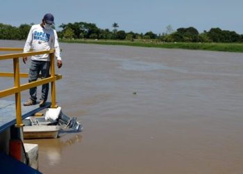 La descomposición de materia vegetal en los ríos contribuye a la generación de gases de efecto invernadero.