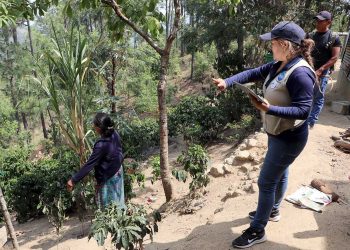 MAGA y FAO inician registro único de agricultores en Huehuetenango