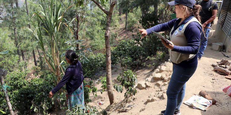 MAGA y FAO inician registro Ãºnico de agricultores en Huehuetenango