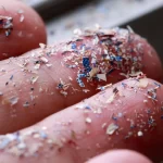 Enjambres de robots diminutos limpian microplásticos y microbios de forma simultánea