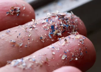 Robots limpiarían el agua de microplásticos. / Foto: El Nuevo Diario (República Dominicana).