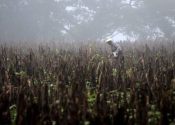 Seguía en el corredor seco por el fenómeno El Niño