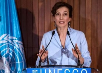 Periodistas ambientales