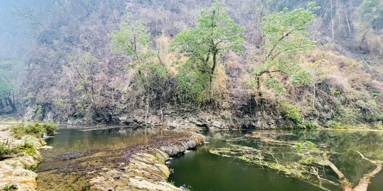 Cierran temporalmente las pozas del Monumento Natural Semuc Champey por incendio forestal