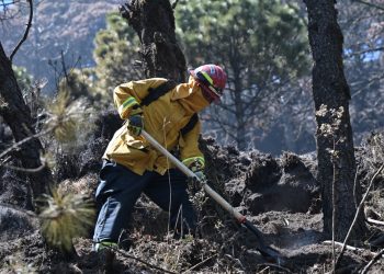 Los brigadistas se mantienen luchando para la mitigación de incendios. /Foto: Álvaro Interiano.