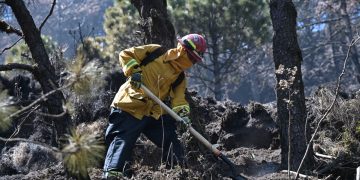 Los brigadistas se mantienen luchando para la mitigación de incendios. /Foto: Álvaro Interiano.