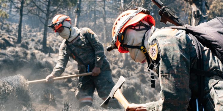 Ministerio de Defensa intensifica lucha contra 13 incendios forestales activos