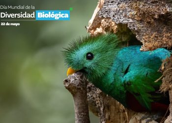 Cada 22 de mayo se conmemora el día de la diversidad biológica. /Foto: MSPAS.
