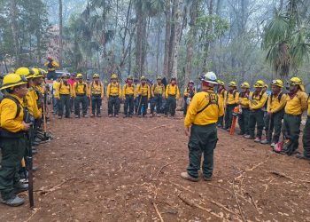 Siguen acciones por incendios en área de la Corona, Zona de Uso Múltiple, Reserva de la Biosfera Maya, en San Andrés, Petén