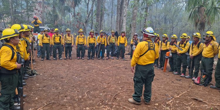 Siguen acciones por incendios en área de la Corona, Zona de Uso Múltiple, Reserva de la Biosfera Maya, en San Andrés, Petén