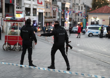 Policía del aeropuerto encontró las arañas y escorpiones. / Foto: EFE.