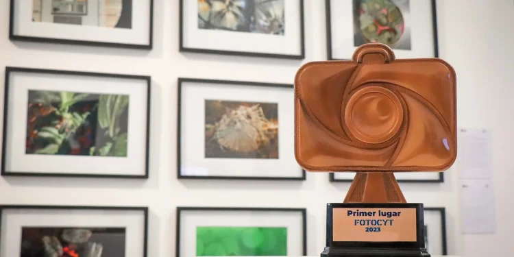 Senacyt lanza concurso de fotografía científica