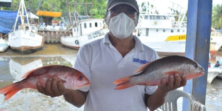 La implementación de vedas de pesca. / Foto: MAGA