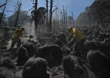 4 de mayo, Día del Bombero Forestal. / Foto: Álvaro Interiano.
