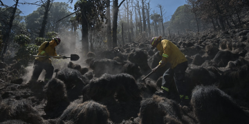 4 de mayo, Día del Bombero Forestal. / Foto: Álvaro Interiano.